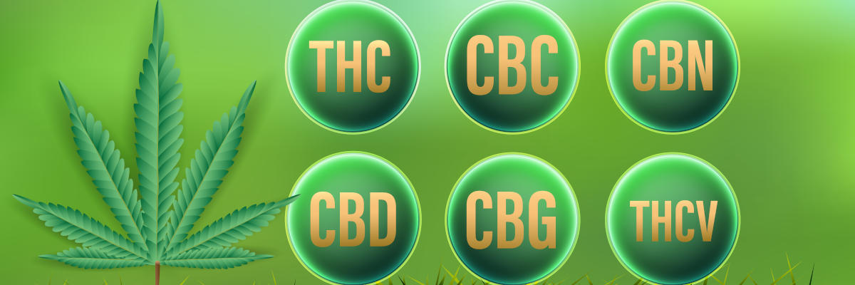 Kannabinoidler - Genel Bakış: CBD, THC, CBC, CBN, CBG, THCV